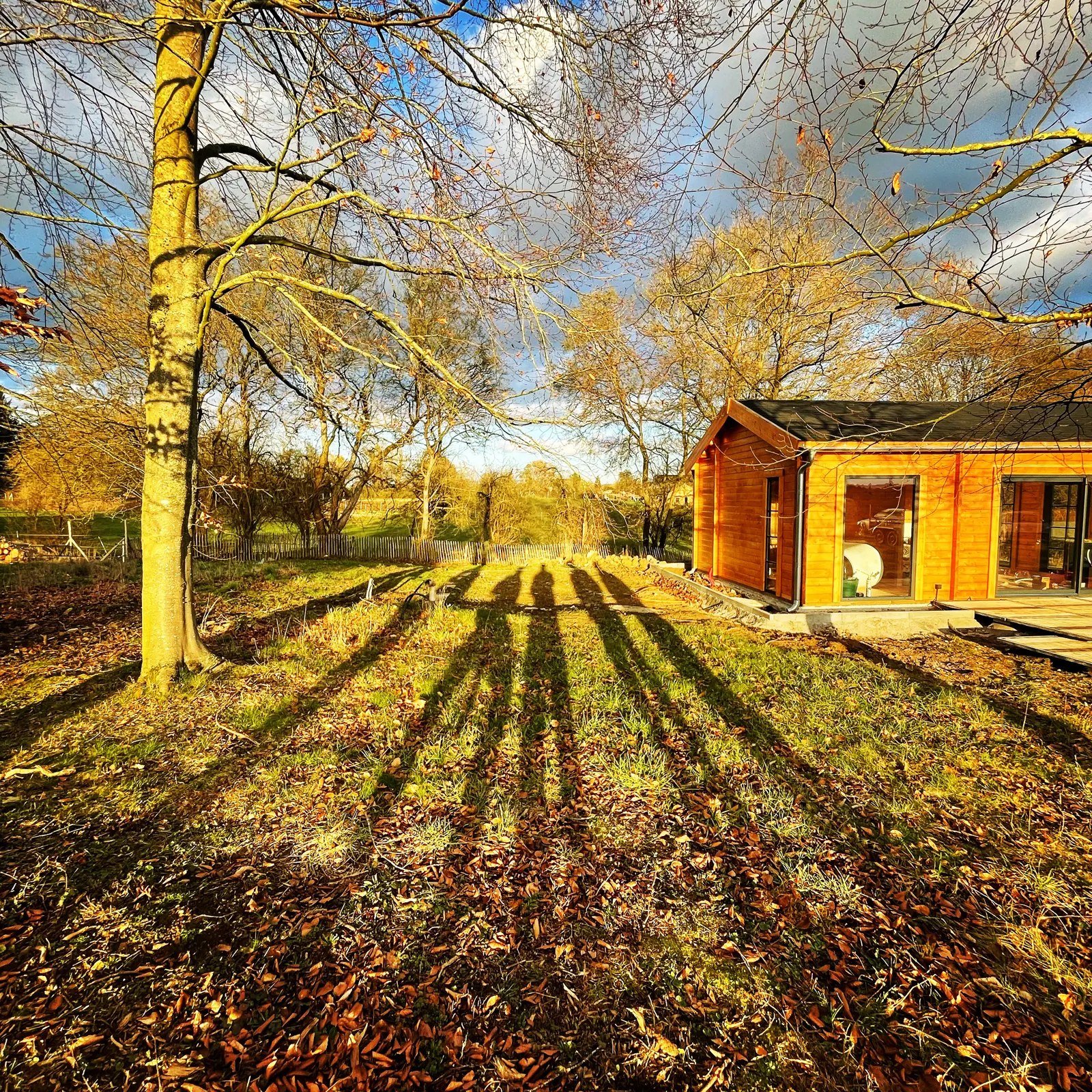 Le chalet en automne, les ombres des arbres sur la pelouse