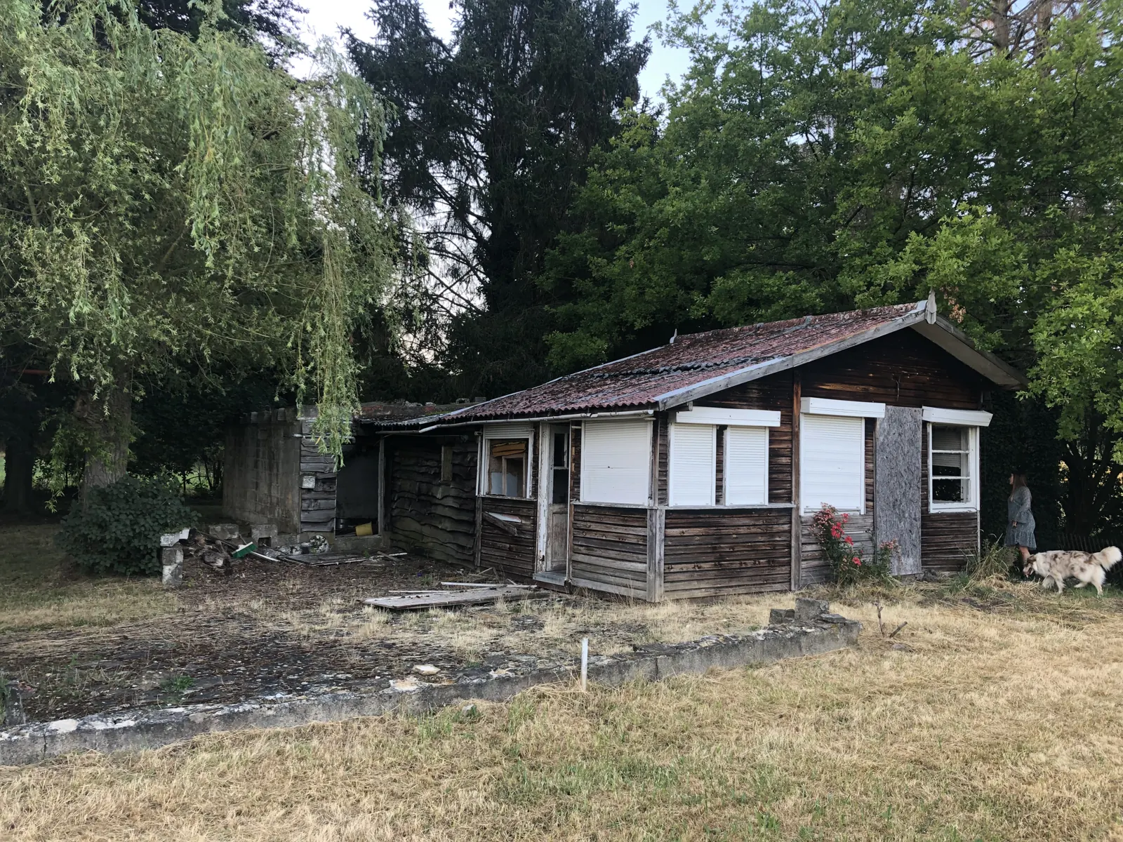 L'ancien chalet en 2019, volets blancs, sous un saule
