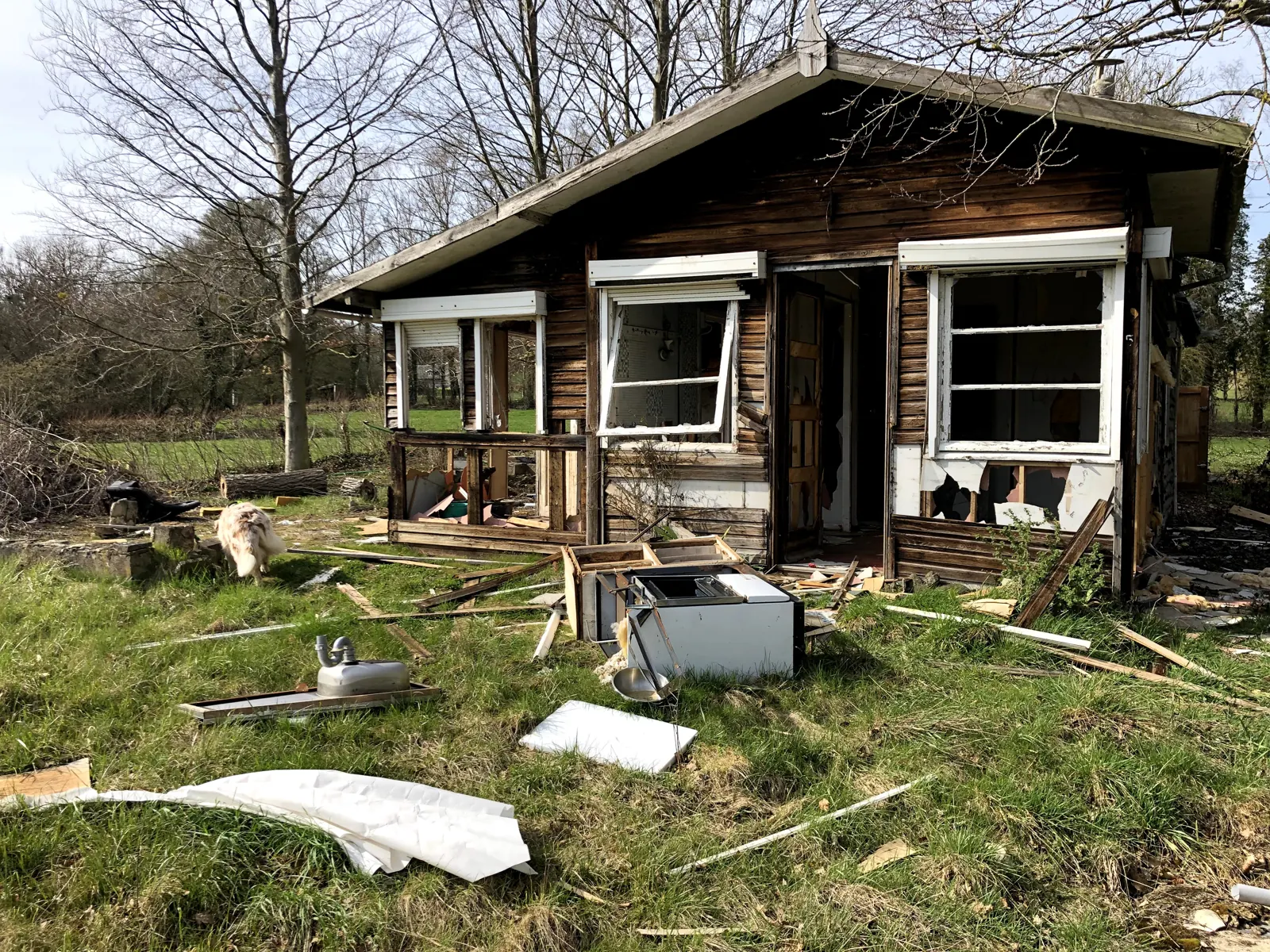 Le chalet éventré, planches au sol