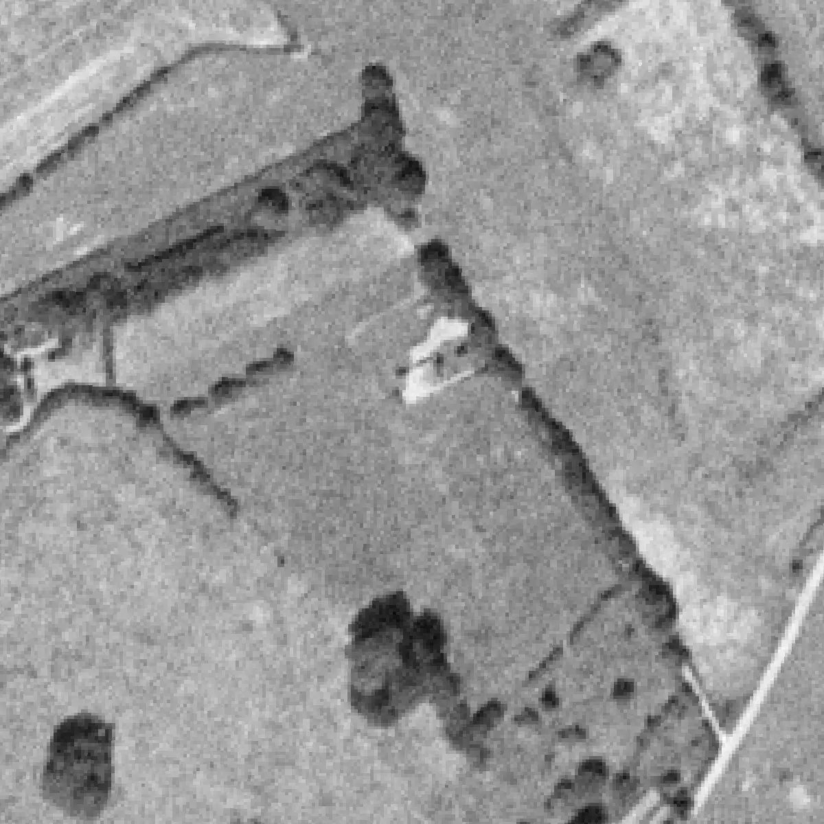 Photo aérienne de 1971 en noir et blanc&nbsp;: le chalet, point clair entre les haies